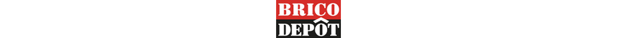 Logo Brico Depot